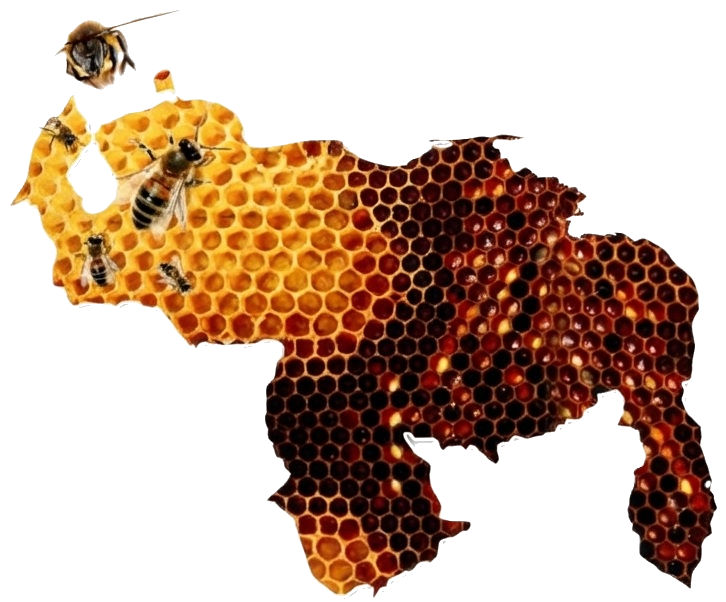 Mapa tecnológico de Venezuela